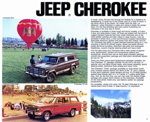 1979 Jeep Full Line-11.jpg